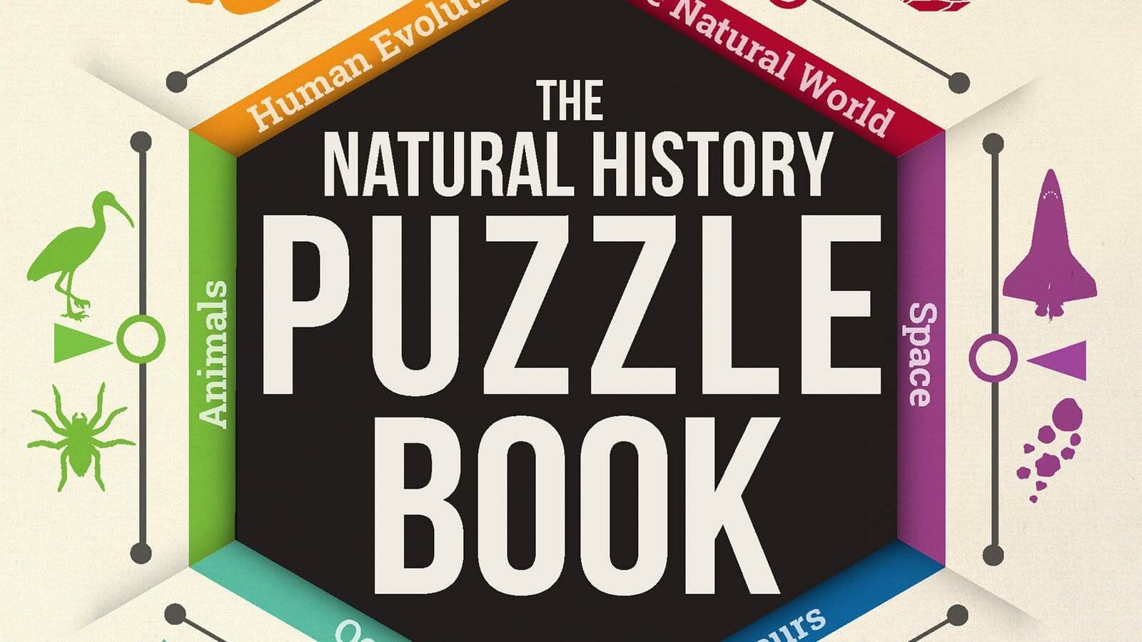 The History of Puzzle World