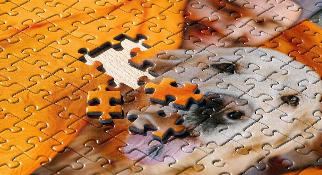 What Is a Picture Puzzle?