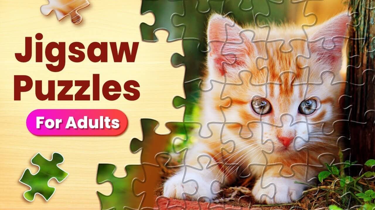 What Are Puzzles on Puzzles?