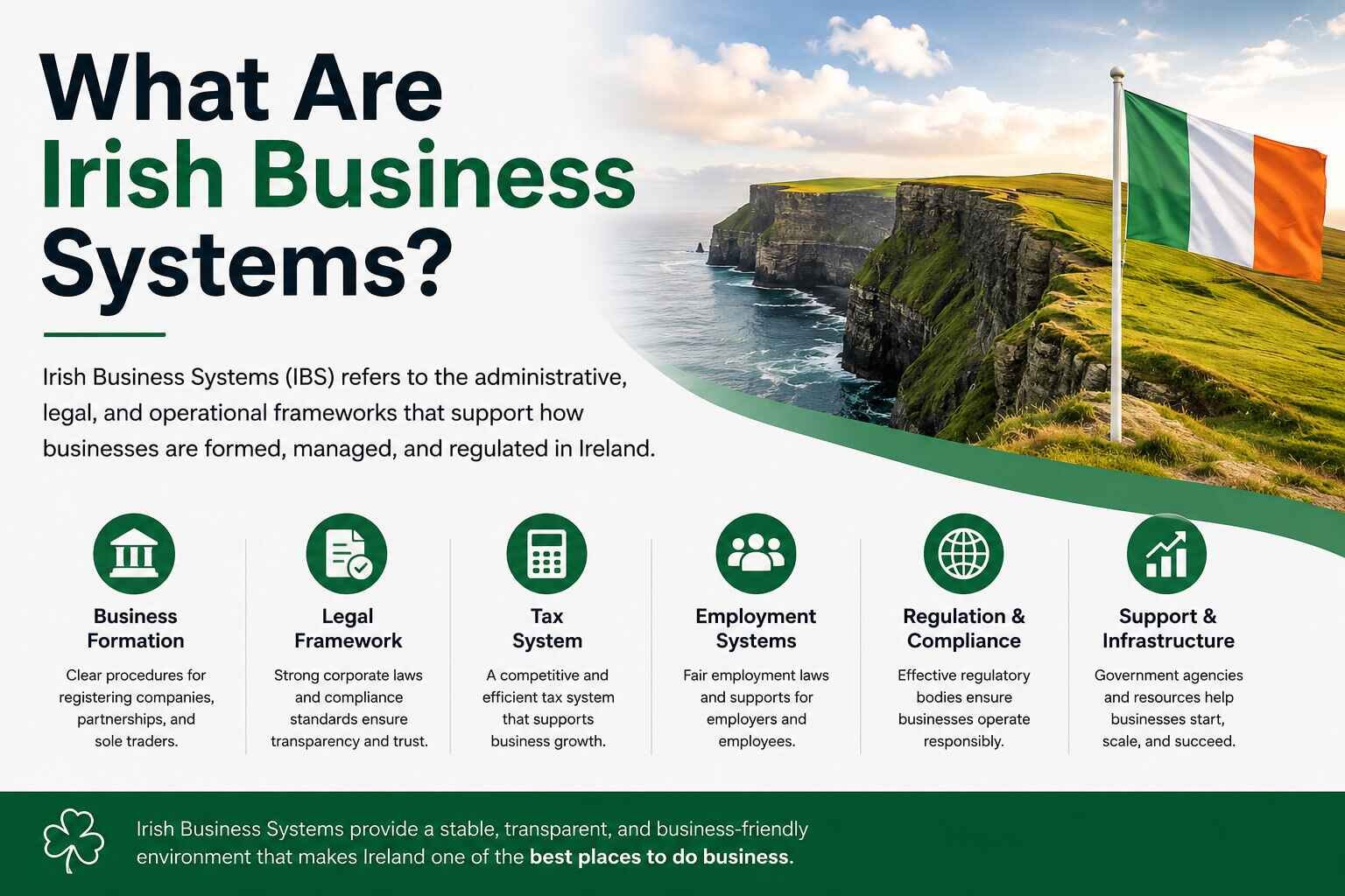 What Are Irish Business Systems?